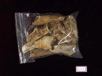 藏品(鹿角)的圖片